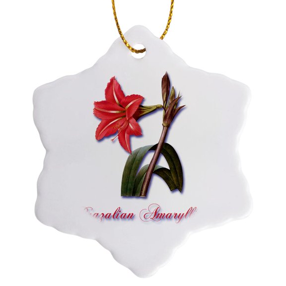 3drose, Brazilian Amaryllis, Botanical Print Beautiful Red Flower from a Bulb, 3 inch Snowflake Porcelain Ornament