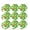 Clear, variant on Citrus Lemon Lime Orange Slices Pattern Planner Calendar Scrapbooking Crafting Stickers