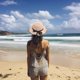 thumbnail image 5 of Sombrero de 56-58cm de circunferencia para mujer, protector solar de verano, sombrero de ala grande, sombrilla de viaje, sombrero de paja para playa, sombrero para el sol con lazo, 5 of 5