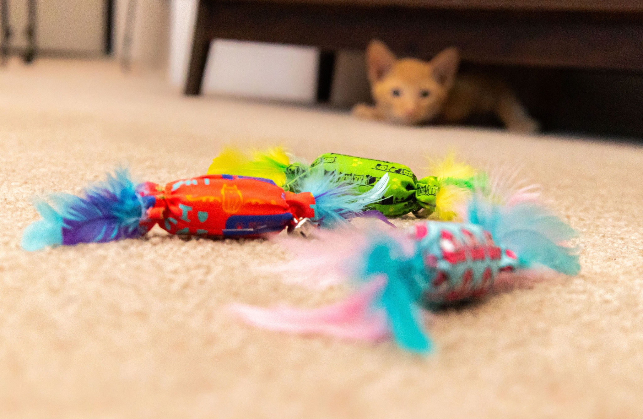 Vibrant Life Catnip Candy Cat Toy with Feathers and Bell, Assorted Colors