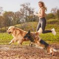thumbnail image 5 of KNFATEQVEDG My Items Double Bungee Leash 1st Step Training Tool Double Bungee Dog Leash 360° Swivel for Small/Medium/Large Breeds Padded Handles Absorbing Rope (Blue/Black Double Leash), 5 of 5