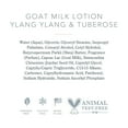 thumbnail image 6 of Beekman 1802 Goat Milk Ylang Ylang and Tuberose Hand Lotion 12.5oz, 6 of 7