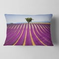 thumbnail image 2 of Designart Lavender and Lonely Tree Uphill - Landscape Wall Throw Pillow - 12x20, 2 of 5