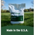 thumbnail image 3 of Lawnbox Grass Genie 100% Organic 10-0-6 Spring Lawn Grass Fertilizer 16 lb Bag, 3 of 7