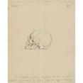 thumbnail image 2 of Stanisław Wyspiański 20x24 Black Ornate Framed Double Matted Museum Art Print Titled: Study of a Skull (1880-1885), 2 of 5