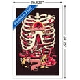 thumbnail image 3 of Rick And Morty - Anatomy Park Wall Poster, 14.725" x 22.375", Framed, 3 of 6