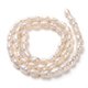 thumbnail image 3 of Natural Cultured Freshwater Pearl Beads Strands Rice Bisque 6~8x4~5mm Hole: 0.7mm about 52pcs/strand 14.17 inch(36cm), 3 of 3