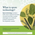 thumbnail image 4 of Youtheory Spore Probiotic Powder Advanced 3.45 oz. (1 Bottle) No Refrigeration Required, 4 of 7