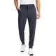 thumbnail image 1 of Pantalones deportivos de golf Soothfeel para hombre, gris oscuro, talla L, 1 of 6