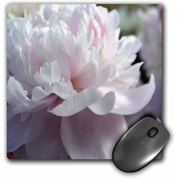 3dRose 8 X 0.25 Inches Mouse Pad Soft Pink Peony Flower (mp_51022_1)