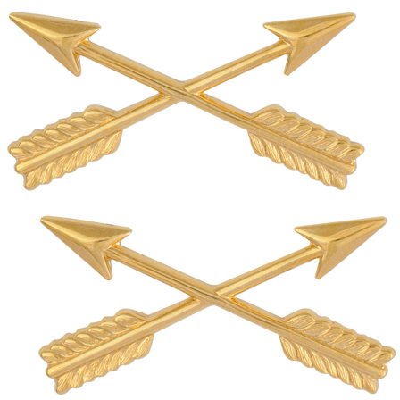 Army Special Forces Officer Insignia Pair