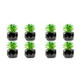 thumbnail image 1 of Yuarrent Plantas suculentas artificiales de 4 piezas, apariencia realista, fácil de mantener, larga duración, rosa del desierto Rosa del desierto 2Conjunto, 1 of 6