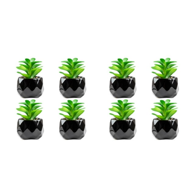 Yuarrent Plantas suculentas artificiales de 4 piezas, apariencia realista, fácil de mantener, larga duración, rosa del desierto Rosa del desierto 2Conjunto