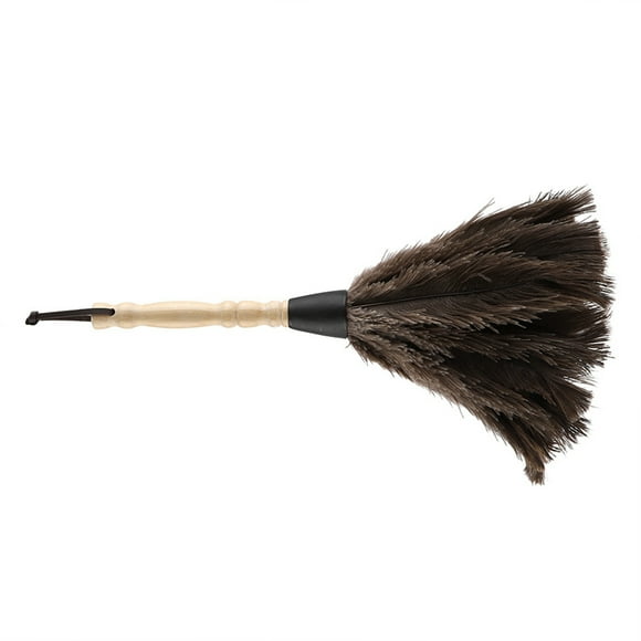 Heaveant Duster, Feather Duster Mini Washable Reusable Ostrich Feather Duster for Books Keyboard Office Home