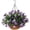 Z Dark Orchid, variant on Artificial Flowers Hanging Basket for Outdoor Indoor, Fake Orchid Flowers in Coconut Lining Hanging Basket for Home Courtyard Decoration, 5 Branches Flowers in '' Basket(Blue)