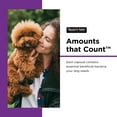thumbnail image 6 of Nutri-Vet Probiotics Capsules for Dogs - Supports Digestive Health - For All Size Dogs - Promotes Healthy Immune System - Vet Formulated - 60 Count Capsules, 6 of 11