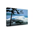 thumbnail image 2 of Trademark Fine Art 'Wickanninish' Canvas Art by Ron Parker, 2 of 3