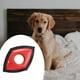 thumbnail image 3 of Cepillo de Eliminación Del Pelo Del Perro Del Perro Del Perro Del Perro Del Perro de La Mascota 2 Unids para El Sofá Detalle Del Asiento Del Automóvil Sunnimix Removedor de pelo de mascotas, 3 of 7