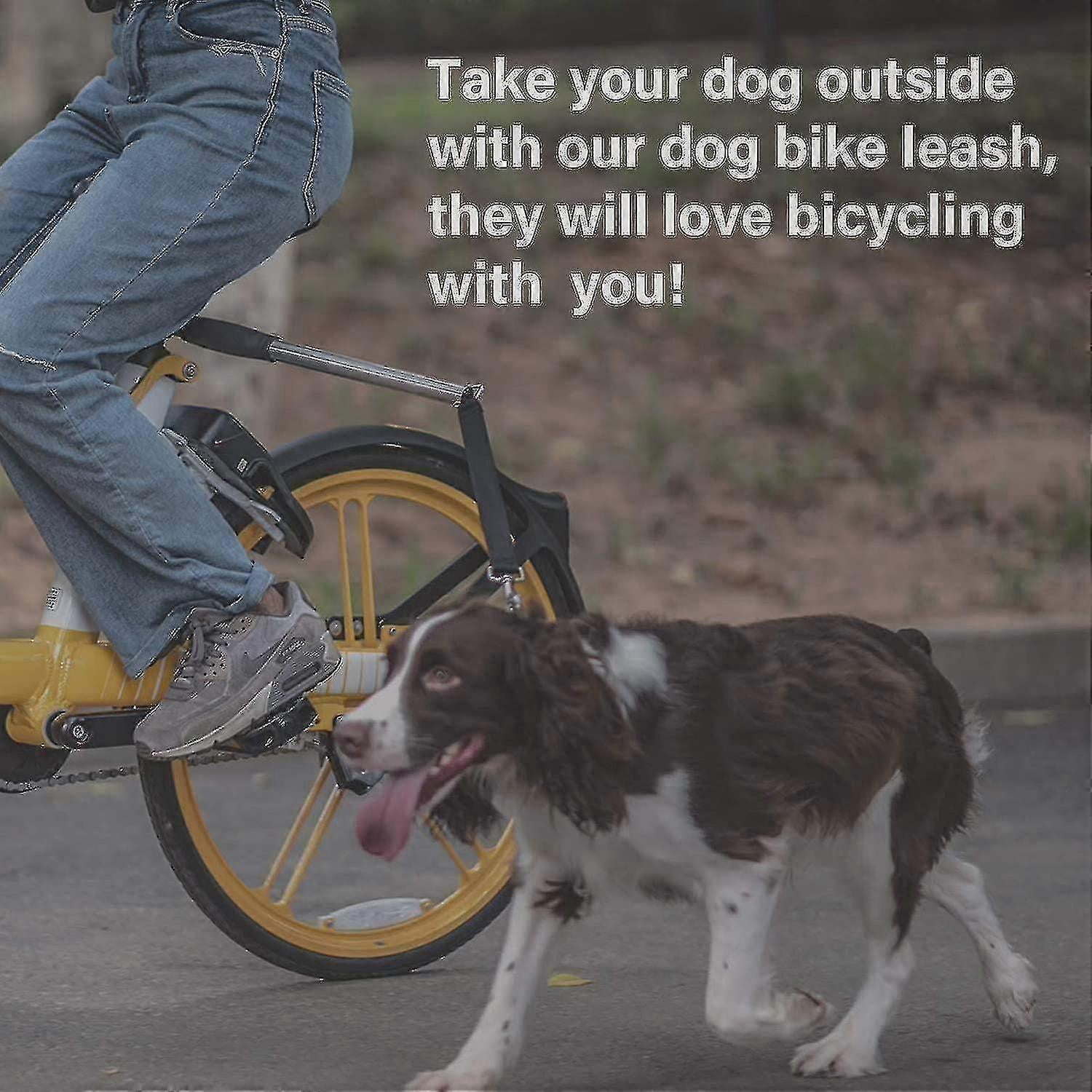 Retractable Bicycle Dog Leash, Hands-free Bicycle Leash For Pet Dogs