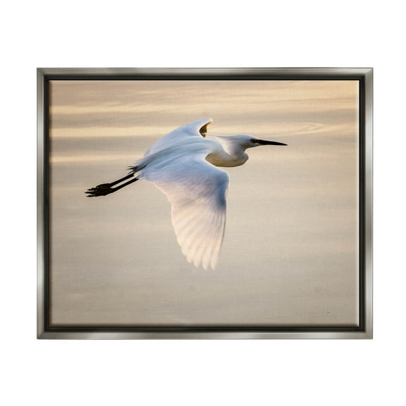 Egret Gliding Aerial View Animals & Insects Photograph Luster Gray Framed Art Print Wall Art