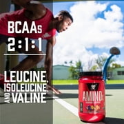 BSN Amino X Amino Acids + BCAA Powder, Grape, 30 Servings