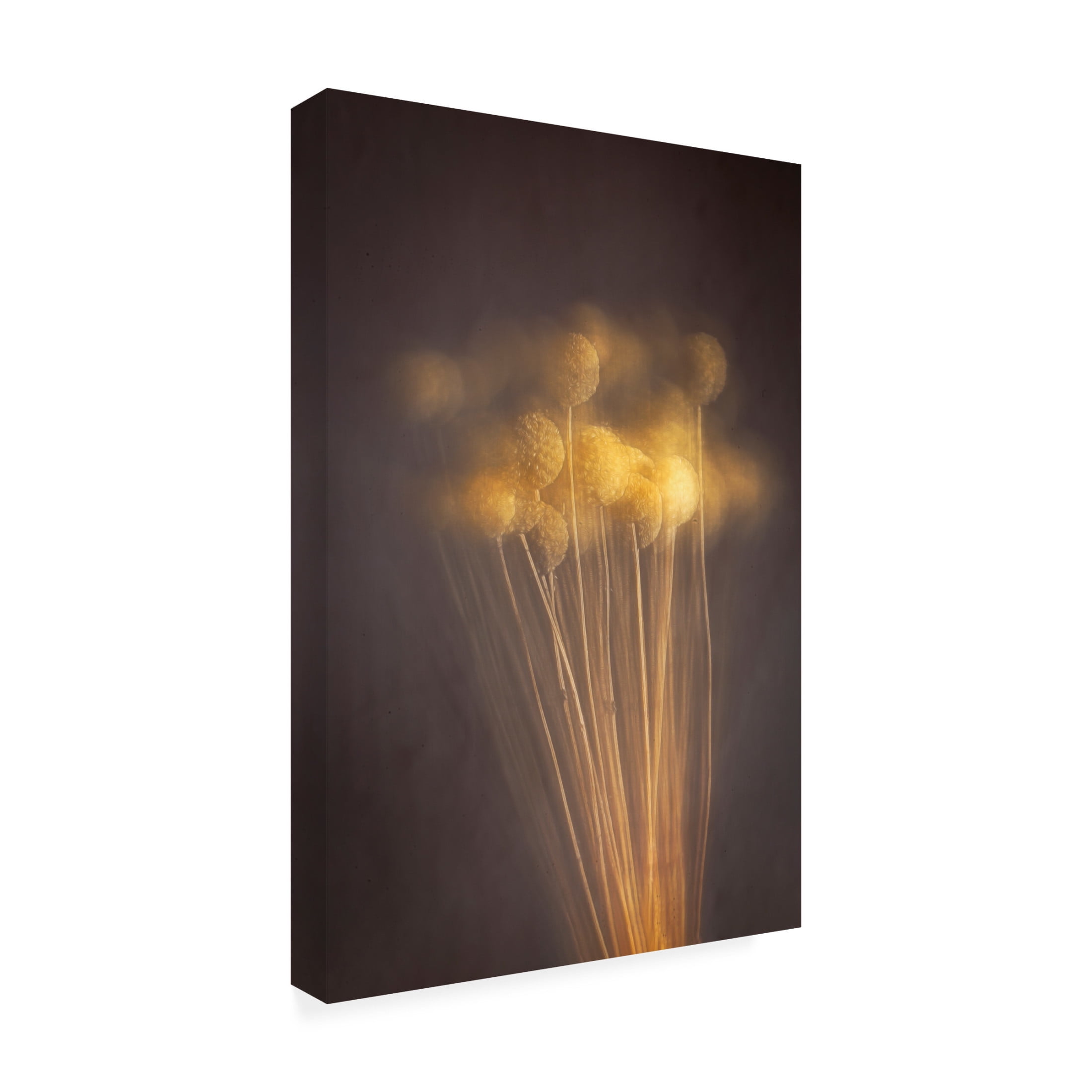 Trademark Fine Art Cicek Kiral Curious Heads Canvas Wall Art
