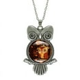 thumbnail image 2 of BGZLEU Crystal Owl Necklace,Owl Pendant Necklace,Animal Jewelry,Owl Video,Long Necklace for Women,Insect Animal Theme of Owl,Birthday Memorial Gifts for Women, 2 of 9