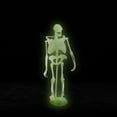 thumbnail image 4 of Noctilucent Dinosaur Human Skeleton Model Assembly Skull Toy Bones Decor, 4 of 9
