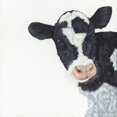 thumbnail image 2 of Justice, Ashley 20x20 White Modern Wood Framed Museum Art Print Titled - Cow, 2 of 4
