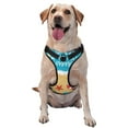 thumbnail image 1 of Balery Hello Summer1 Arnés para Perros Grandes Antitirones, Arnés con Correa para Gato, Arnés Tipo Chaleco para Perros Pequeños-Small, 1 of 6