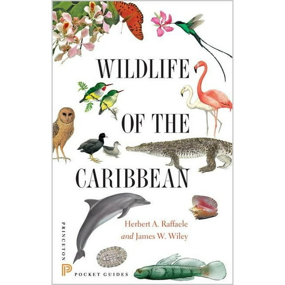 Princeton Pocket Guides Wildlife of the Caribbean, (Paperback)