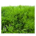 thumbnail image 4 of WM25 Artificial Fake Water Aquatic Green Grass Plant Lawn Aquarium Landscape, 4 of 5