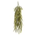 thumbnail image 1 of Vickerman FI191333 Feuille de Salicium Vert Clair 30 Po, 1 of 1
