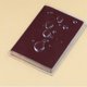 thumbnail image 5 of Bearachild Funda protectora transparente para pasaporte, 10 Uds., funda protectora de plástico PVC resistente al agua para tarjetas de identificación Type2 NO2, 5 of 6