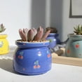 thumbnail image 6 of Travelwant Succulent Pots, Mini Ceramic Flower Planter Pot with Drainage Hole,Ceramic Flower Planter Plants Not Included, 6 of 7