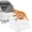 White, variant on 2 Step Black Pet Stairs Litter Box Ramp for Cats