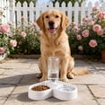 thumbnail image 4 of Dispensador automático de agua para mascotas, comedero combinado, cuencos dobles de gran capacidad para perros y gatos, base antideslizante, protector contra salpicaduras, fácil de limpiar, plástico, 4 of 6