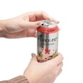 thumbnail image 3 of Perky-Pet Ready-to-Use Red Hummingbird Nectar Can, 16 fl oz, 3 of 6