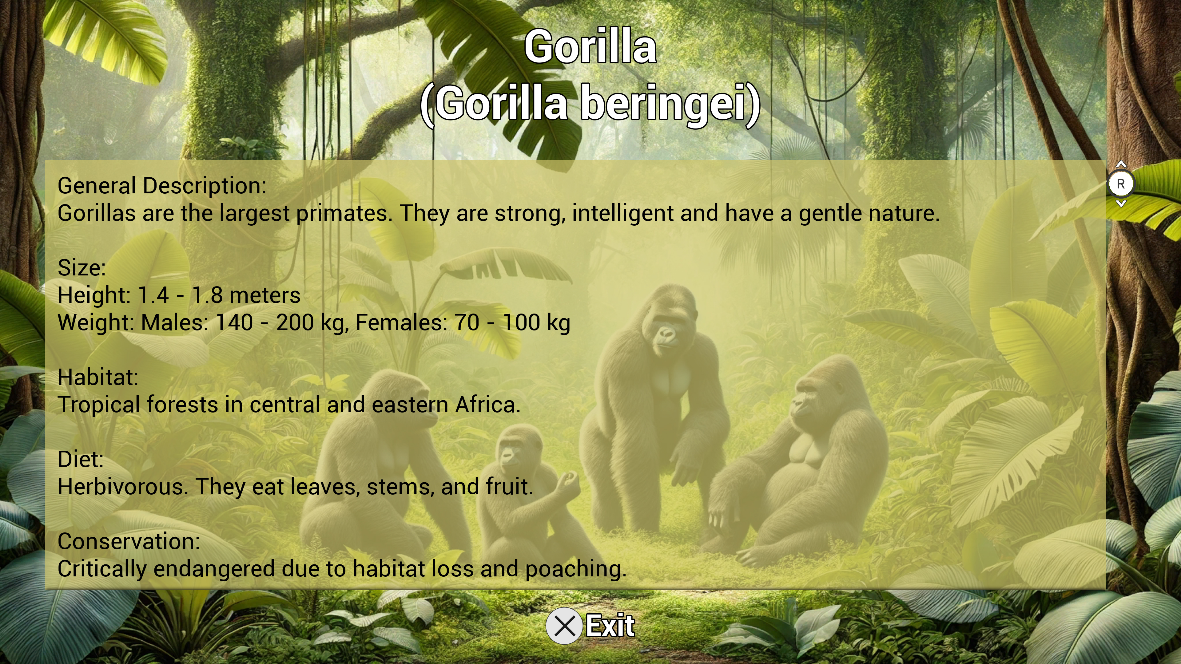 Mi Clínica Veterinaria en el Zoológico, PlayStation 5 3
