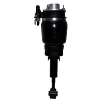 Suspension Strut Assembly Fits select: 2003-2006 FORD EXPEDITION, 2003-2006 LINCOLN NAVIGATOR
