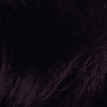 1V Deepest Plum Black
