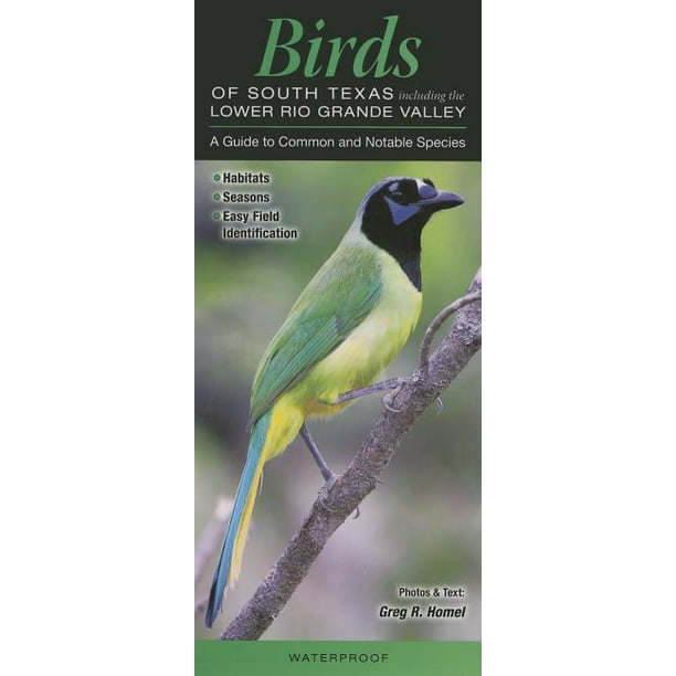 Birds Of South Texas Incl The Lower Rio Grande Valley Walmart Com