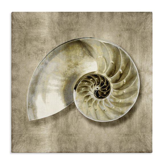 Stupell Industries Tropical Nautilus Shell Interior Intricate Animal Muted Neutral Canvas Art, 17 x 17, by Caroline Kelly