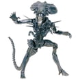 thumbnail image 1 of MA-14 Reina Alien Alien Vs Predator 798256875144, 1 of 1
