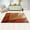 Rich In Layers, variant on Carpets For Living Room Bedroom Ultra Soft Comfy Thickened Memory-Foam Indoor Carpets 2 Size Aviliable Red Cherries