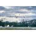 thumbnail image 2 of Tift, Jeff 32x23 White Modern Wood Framed Museum Art Print Titled - Geese Flying Over Farmland, 2 of 4