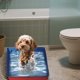 thumbnail image 4 of Bañera plegable para mascotas, lavabo portátil para perros y gatos, plegable, para el aseo de animales pequeños, medianos y grandes, fácil de guardar, ideal para viajar., 4 of 6