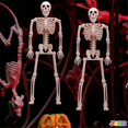 thumbnail image 5 of Movable Skeleton Decoration Whole Body Skull Bone Decoration Used for , Haunted House and Cemetery Decoration, 5 of 5