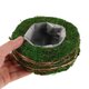 thumbnail image 4 of BRIGHTFUFU Maceta Rústica De Musgo Para Plantas Suculentas Fácil De Mover Para En Balcones, 4 of 6