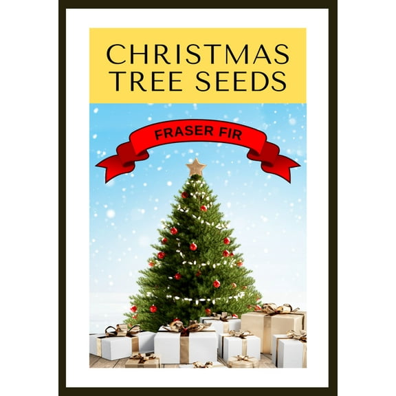 Grow Your Own CHRISTMAS TREE - Fraser Fir ( Abies Fraseri ) Gift Packet of Tree Seeds